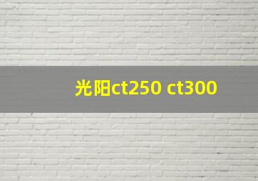 光阳ct250 ct300